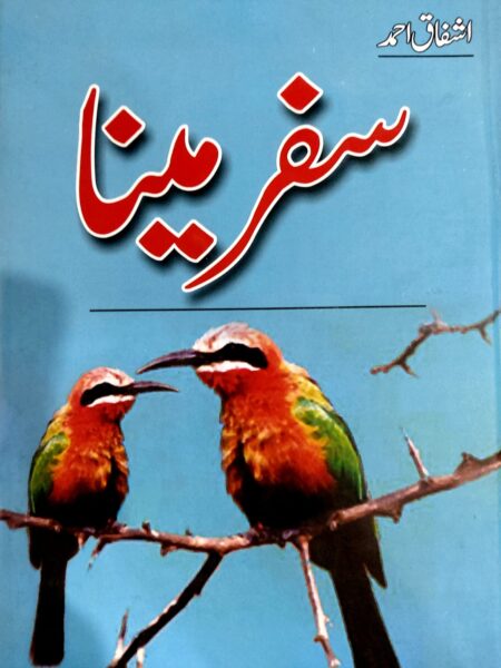 Safar E Meena By Ishfaq Ahmad
