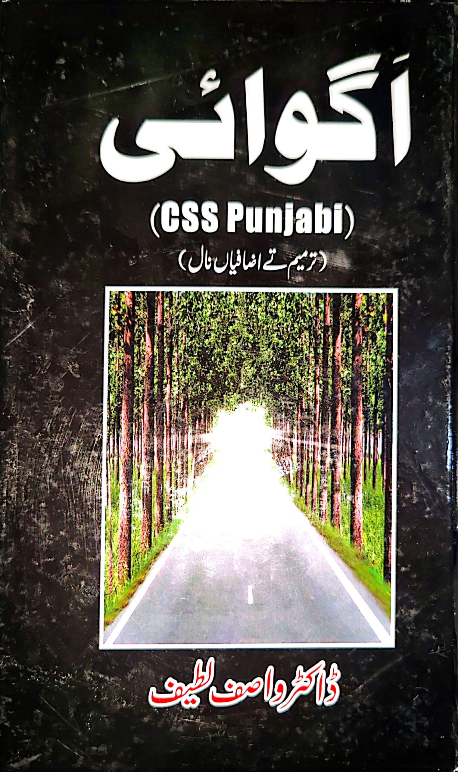 Agwayi CSS Punjabi Optional By Prof Wasif Latif
